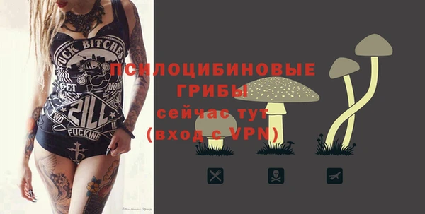 спиды Алексеевка