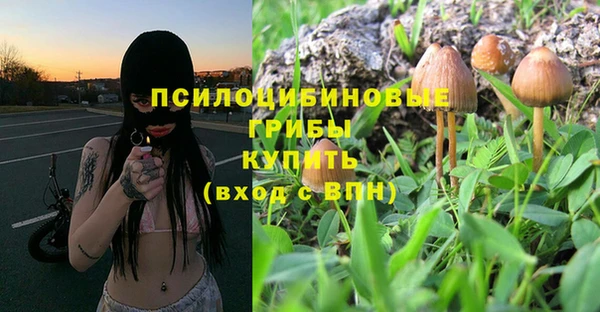 спиды Алексеевка