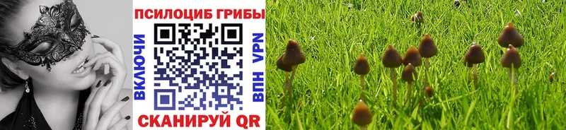 купить   Луза  Псилоцибиновые грибы Magic Shrooms 